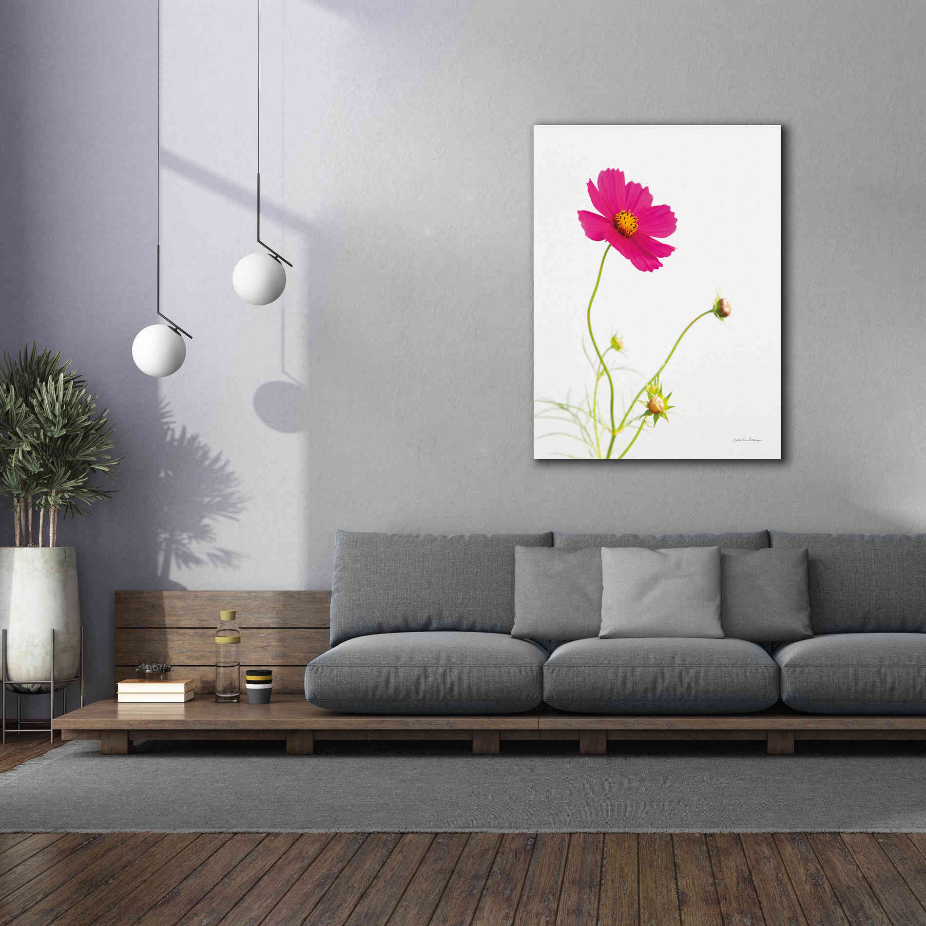'Magenta Cosmos I' by Debra Van Swearingen, Canvas Wall Art,40 x 54