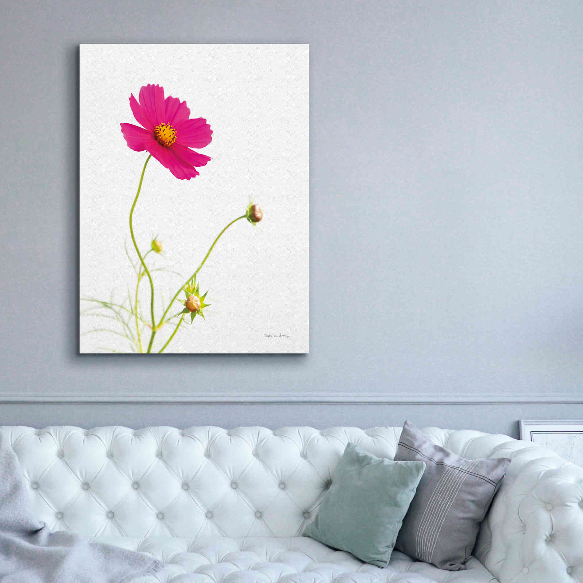 'Magenta Cosmos I' by Debra Van Swearingen, Canvas Wall Art,40 x 54