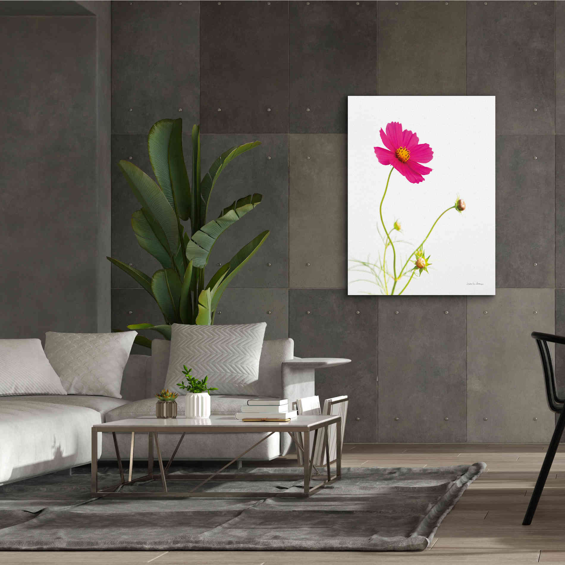 'Magenta Cosmos I' by Debra Van Swearingen, Canvas Wall Art,40 x 54