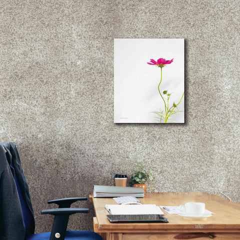 Image of 'Magenta Cosmos II' by Debra Van Swearingen, Canvas Wall Art,20 x 24