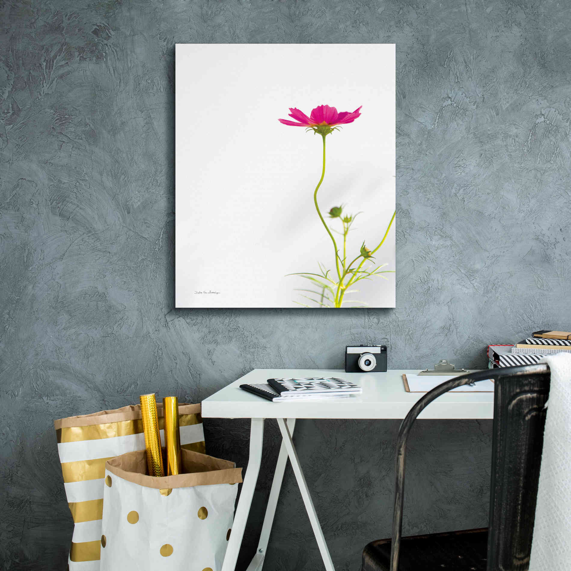 'Magenta Cosmos II' by Debra Van Swearingen, Canvas Wall Art,20 x 24