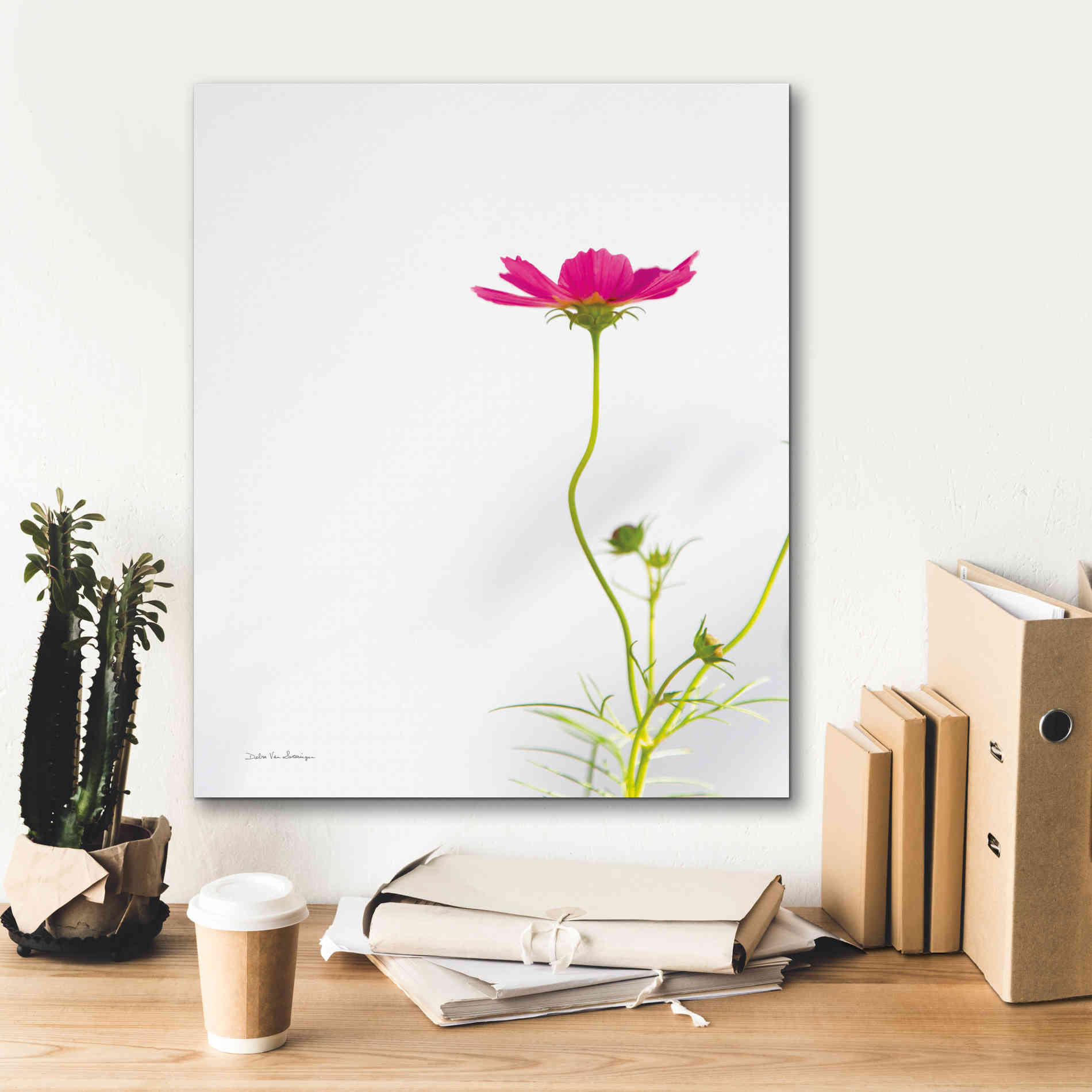 'Magenta Cosmos II' by Debra Van Swearingen, Canvas Wall Art,20 x 24