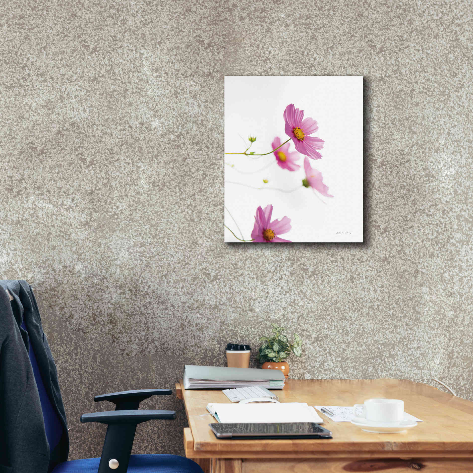 'Pale Cosmos I' by Debra Van Swearingen, Canvas Wall Art,20 x 24
