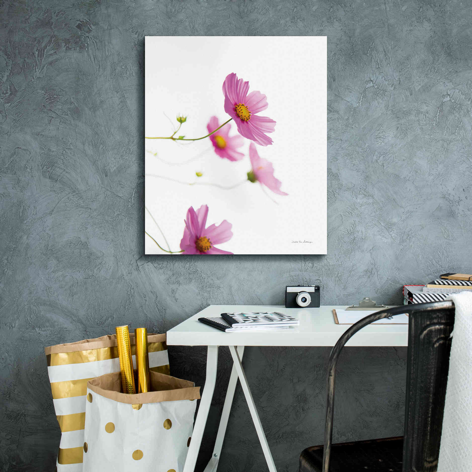 'Pale Cosmos I' by Debra Van Swearingen, Canvas Wall Art,20 x 24