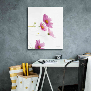 'Pale Cosmos I' by Debra Van Swearingen, Canvas Wall Art,20 x 24