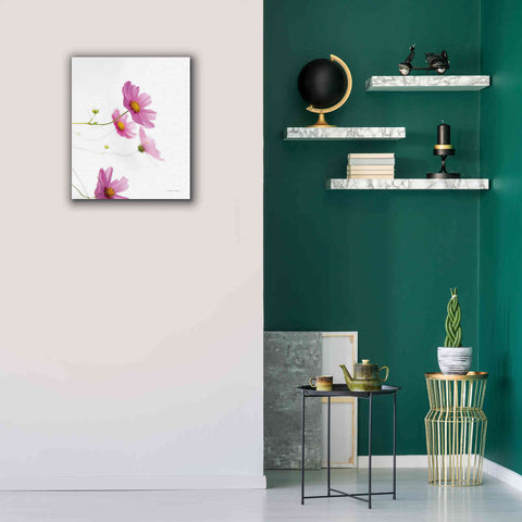 Image of 'Pale Cosmos I' by Debra Van Swearingen, Canvas Wall Art,20 x 24