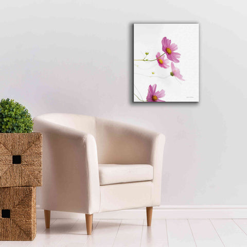 Image of 'Pale Cosmos I' by Debra Van Swearingen, Canvas Wall Art,20 x 24