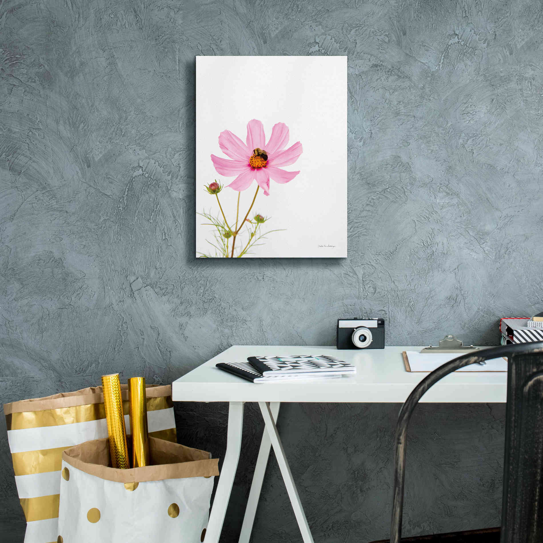 'Pale Cosmos II' by Debra Van Swearingen, Canvas Wall Art,12 x 16