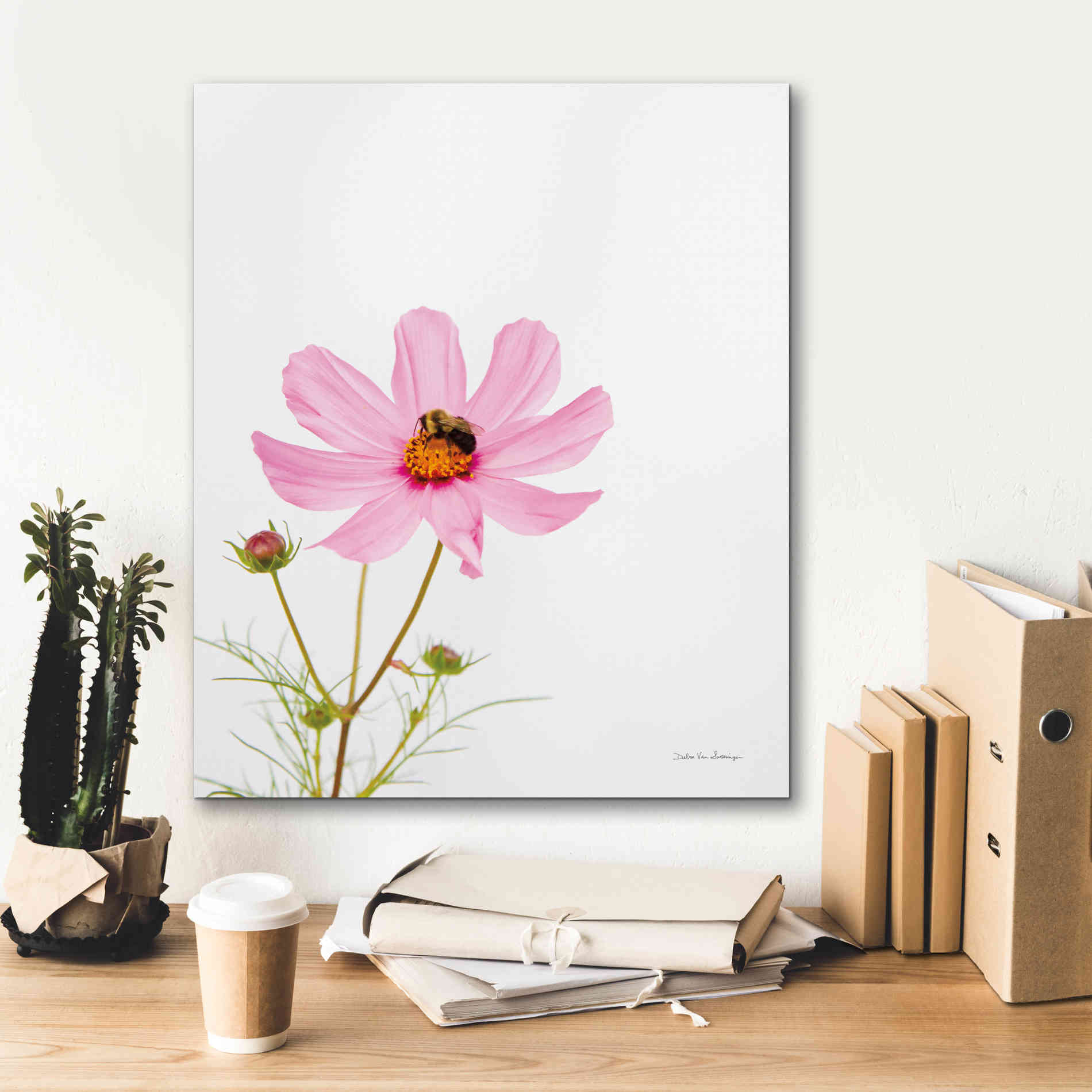 'Pale Cosmos II' by Debra Van Swearingen, Canvas Wall Art,20 x 24