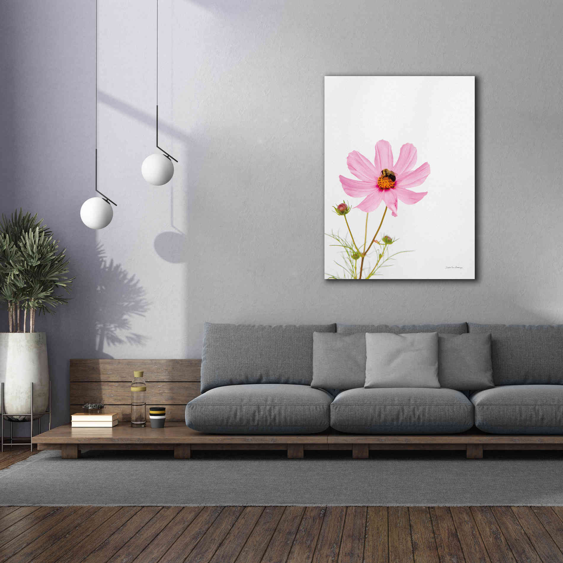 'Pale Cosmos II' by Debra Van Swearingen, Canvas Wall Art,40 x 54