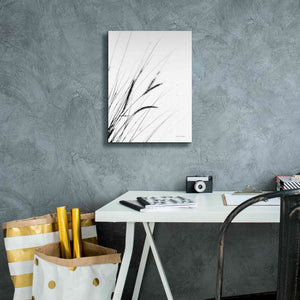 'Field Grasses I White' by Debra Van Swearingen, Canvas Wall Art,12 x 16