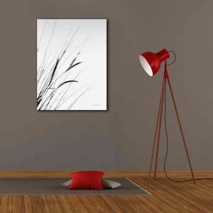 'Field Grasses I White' by Debra Van Swearingen, Canvas Wall Art,26 x 34