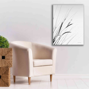 'Field Grasses I White' by Debra Van Swearingen, Canvas Wall Art,26 x 34