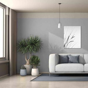 'Field Grasses I White' by Debra Van Swearingen, Canvas Wall Art,26 x 34