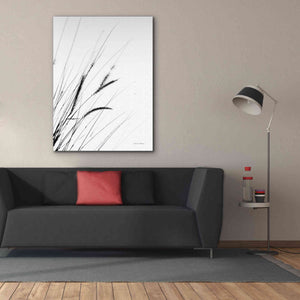 'Field Grasses I White' by Debra Van Swearingen, Canvas Wall Art,40 x 54