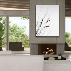 'Field Grasses I White' by Debra Van Swearingen, Canvas Wall Art,40 x 54