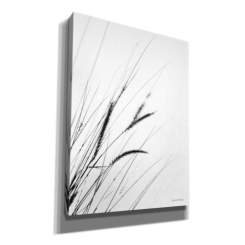 Image of 'Field Grasses I White' by Debra Van Swearingen, Canvas Wall Art,12x16x1.1x0,18x26x1.1x0,26x34x1.74x0,40x54x1.74x0
