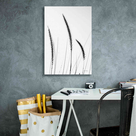 Image of 'Field Grasses IV White' by Debra Van Swearingen, Canvas Wall Art,18 x 26