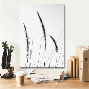 'Field Grasses IV White' by Debra Van Swearingen, Canvas Wall Art,18 x 26