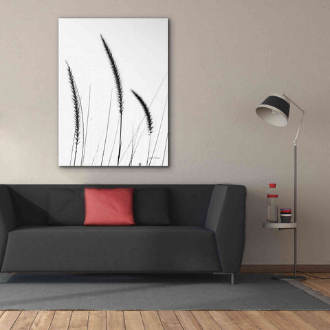 Image of 'Field Grasses IV White' by Debra Van Swearingen, Canvas Wall Art,40 x 54