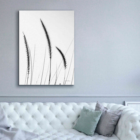 Image of 'Field Grasses IV White' by Debra Van Swearingen, Canvas Wall Art,40 x 54