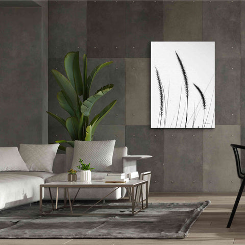 Image of 'Field Grasses IV White' by Debra Van Swearingen, Canvas Wall Art,40 x 54
