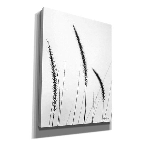 Image of 'Field Grasses IV White' by Debra Van Swearingen, Canvas Wall Art,12x16x1.1x0,18x26x1.1x0,26x34x1.74x0,40x54x1.74x0