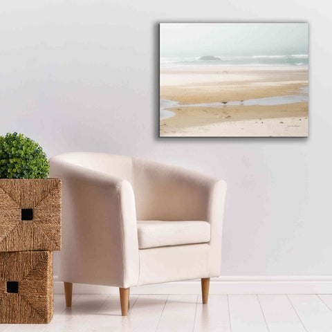Image of 'Cold Beach I' by Debra Van Swearingen, Canvas Wall Art,34 x 26