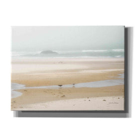 'Cold Beach I' by Debra Van Swearingen, Canvas Wall Art,16x12x1.1x0,26x18x1.1x0,34x26x1.74x0,54x40x1.74x0
