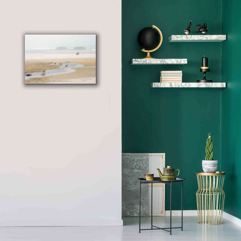 Image of 'Cold Beach II' by Debra Van Swearingen, Canvas Wall Art,26 x 18