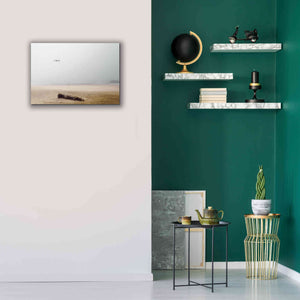 'Cold Beach III' by Debra Van Swearingen, Canvas Wall Art,26 x 18