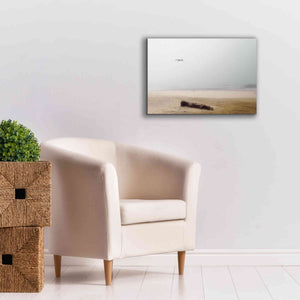 'Cold Beach III' by Debra Van Swearingen, Canvas Wall Art,26 x 18