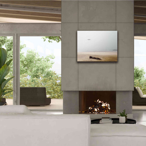 Image of 'Cold Beach III' by Debra Van Swearingen, Canvas Wall Art,34 x 26