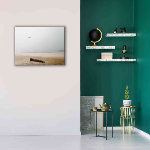 Image of 'Cold Beach III' by Debra Van Swearingen, Canvas Wall Art,34 x 26
