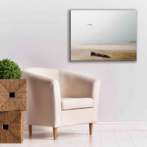 Image of 'Cold Beach III' by Debra Van Swearingen, Canvas Wall Art,34 x 26