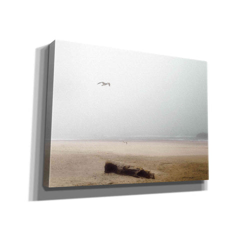 Image of 'Cold Beach III' by Debra Van Swearingen, Canvas Wall Art,16x12x1.1x0,26x18x1.1x0,34x26x1.74x0,54x40x1.74x0