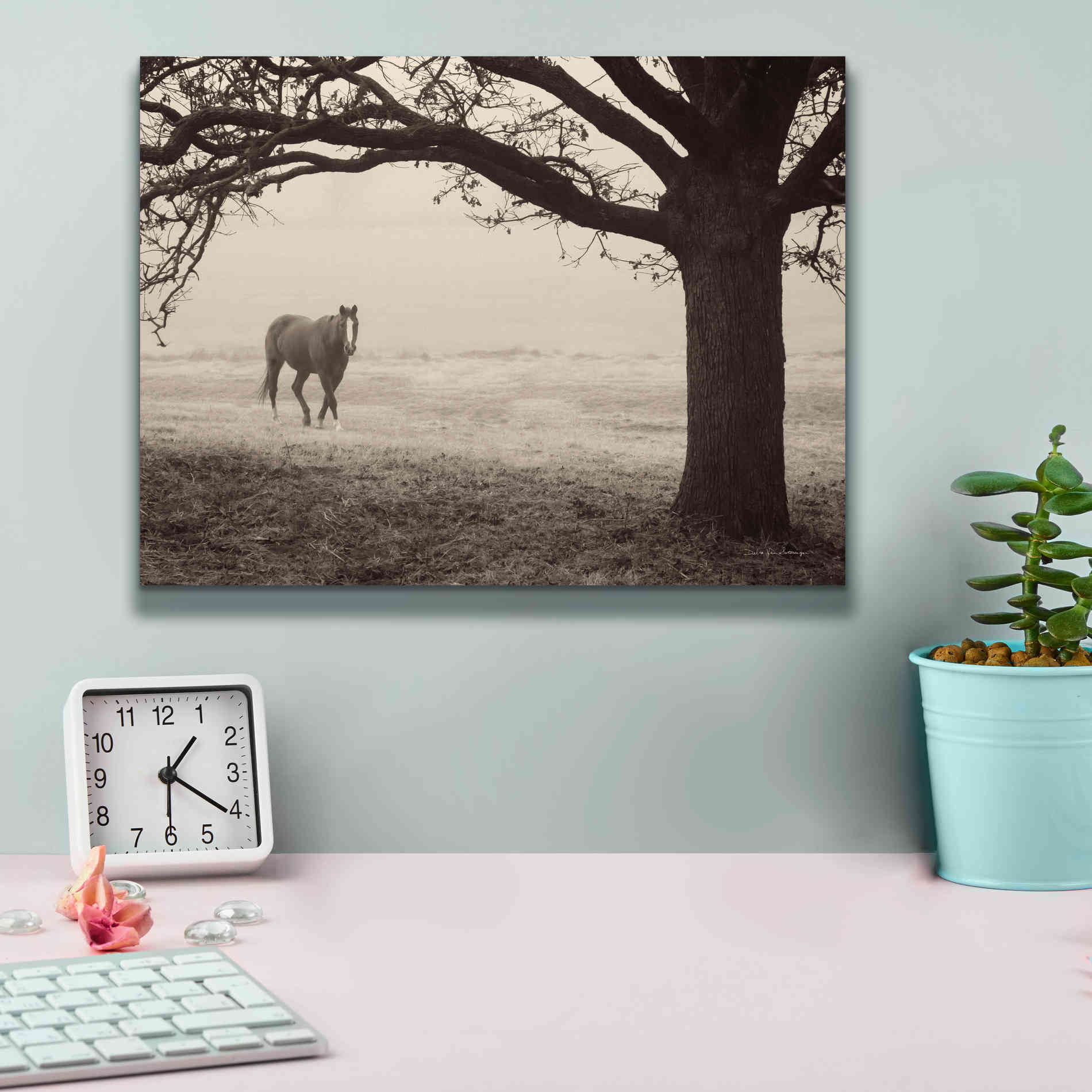 'Hazy Horse I' by Debra Van Swearingen, Canvas Wall Art,16 x 12