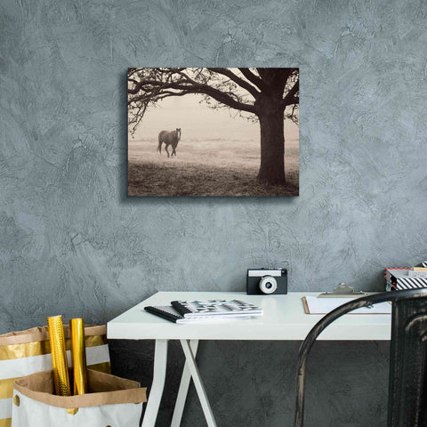 Image of 'Hazy Horse I' by Debra Van Swearingen, Canvas Wall Art,16 x 12