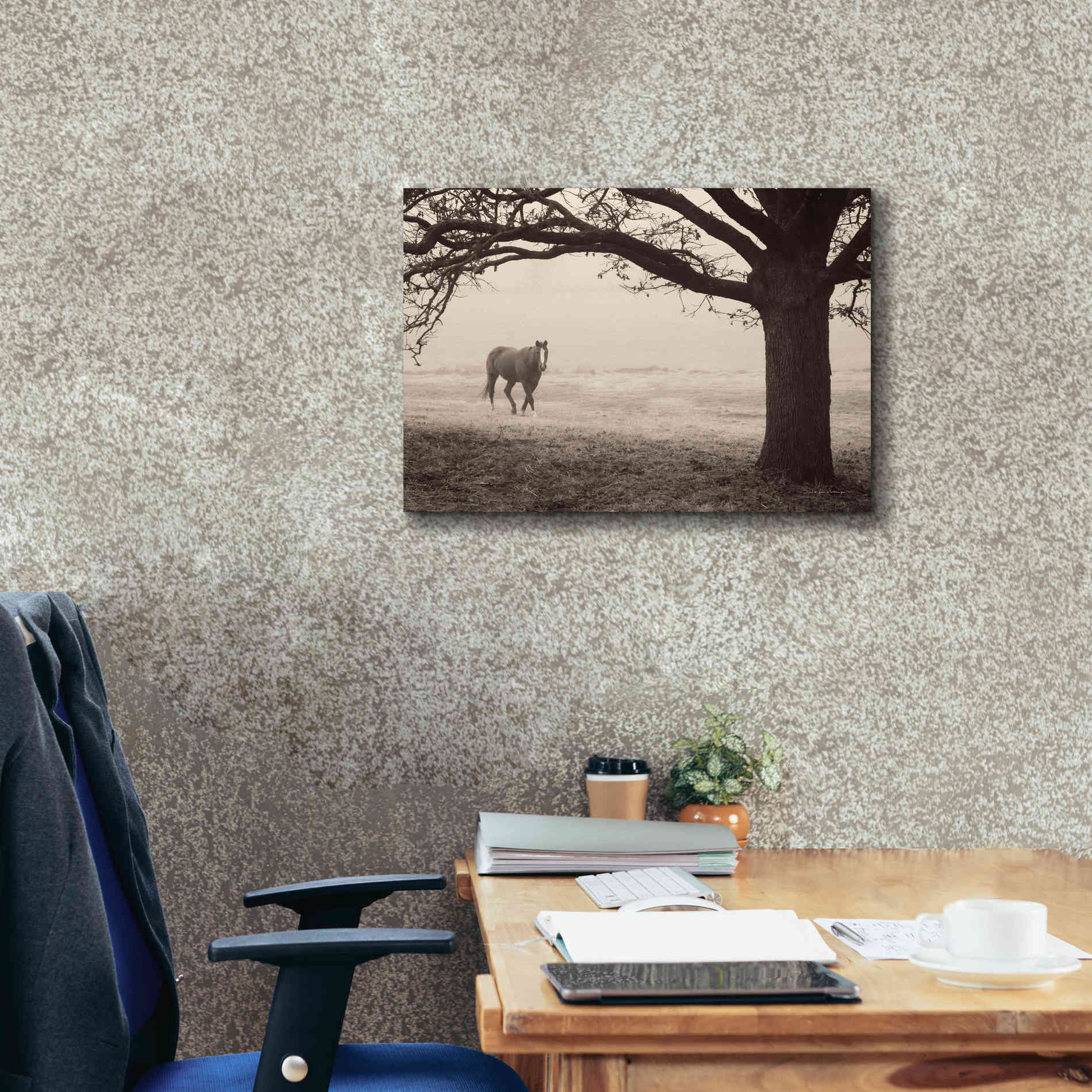 'Hazy Horse I' by Debra Van Swearingen, Canvas Wall Art,26 x 18
