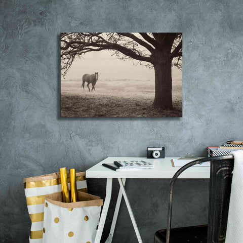 Image of 'Hazy Horse I' by Debra Van Swearingen, Canvas Wall Art,26 x 18