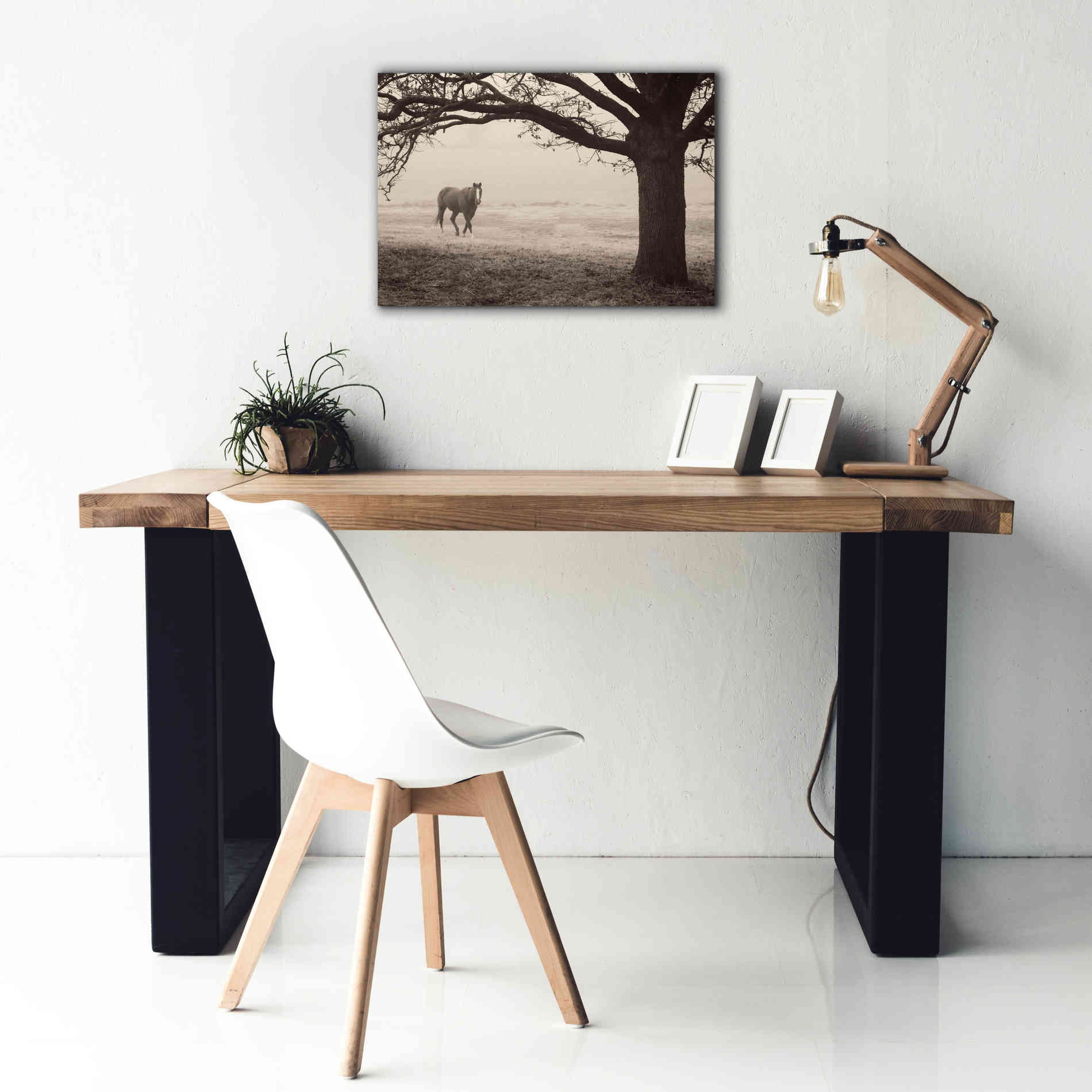'Hazy Horse I' by Debra Van Swearingen, Canvas Wall Art,26 x 18