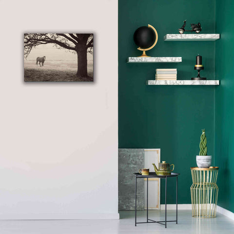 Image of 'Hazy Horse I' by Debra Van Swearingen, Canvas Wall Art,26 x 18
