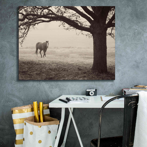 Image of 'Hazy Horse I' by Debra Van Swearingen, Canvas Wall Art,34 x 26