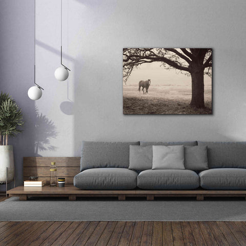 Image of 'Hazy Horse I' by Debra Van Swearingen, Canvas Wall Art,54 x 40