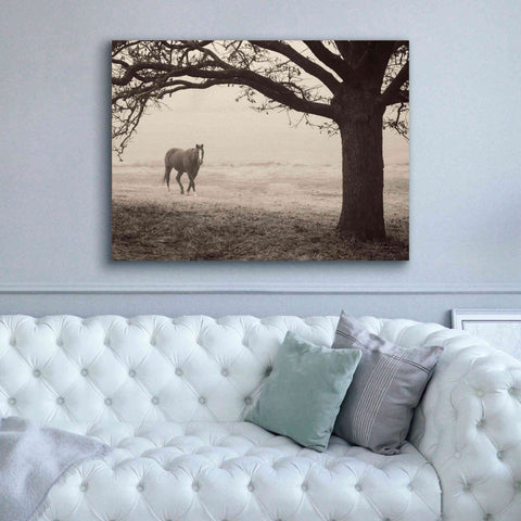 Image of 'Hazy Horse I' by Debra Van Swearingen, Canvas Wall Art,54 x 40