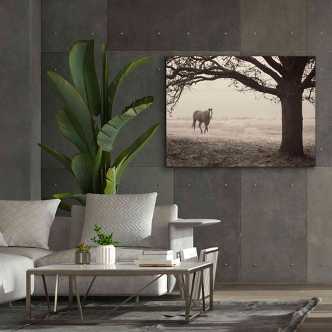 Image of 'Hazy Horse I' by Debra Van Swearingen, Canvas Wall Art,54 x 40
