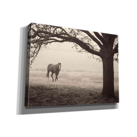 Image of 'Hazy Horse I' by Debra Van Swearingen, Canvas Wall Art,16x12x1.1x0,26x18x1.1x0,34x26x1.74x0,54x40x1.74x0