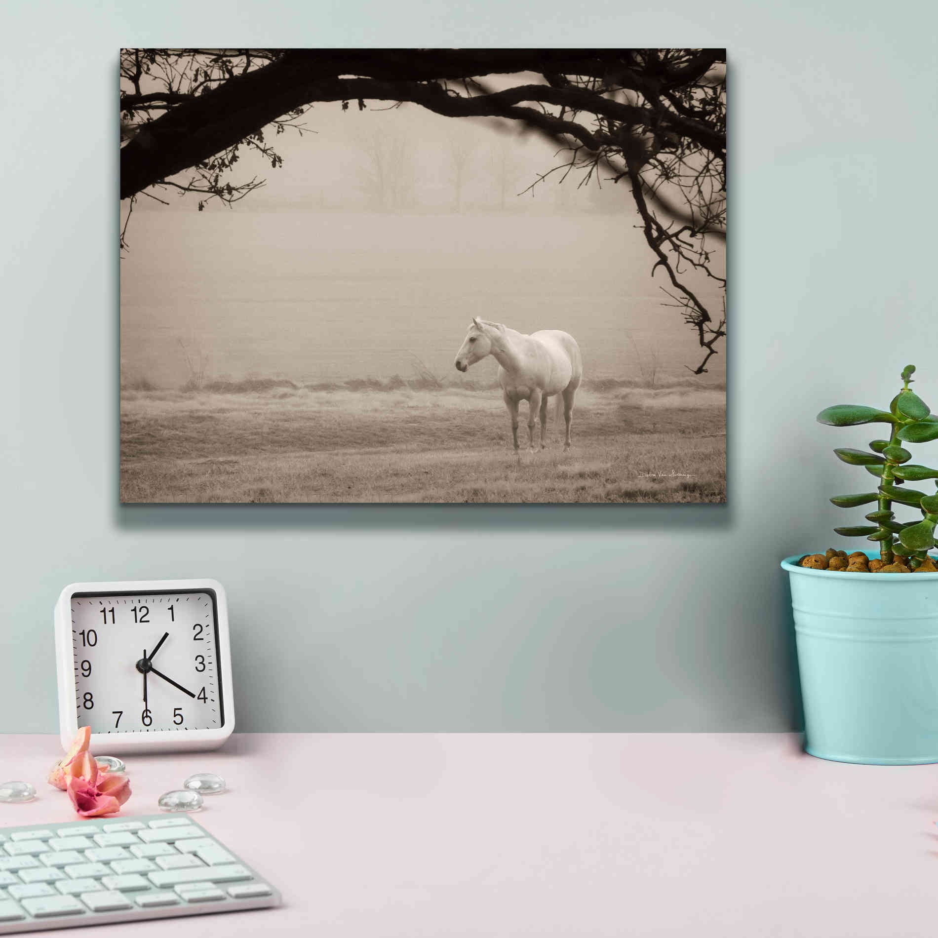 'Hazy Horse II' by Debra Van Swearingen, Canvas Wall Art,16 x 12