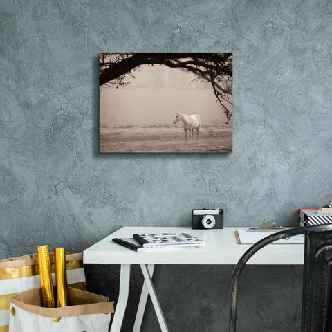 Image of 'Hazy Horse II' by Debra Van Swearingen, Canvas Wall Art,16 x 12