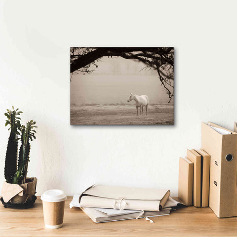 Image of 'Hazy Horse II' by Debra Van Swearingen, Canvas Wall Art,16 x 12